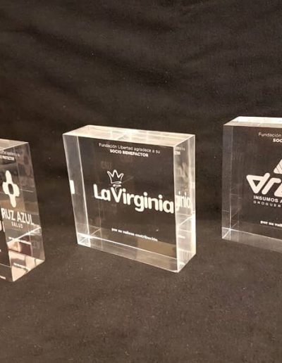 Trofeos y Reconocimientos 08